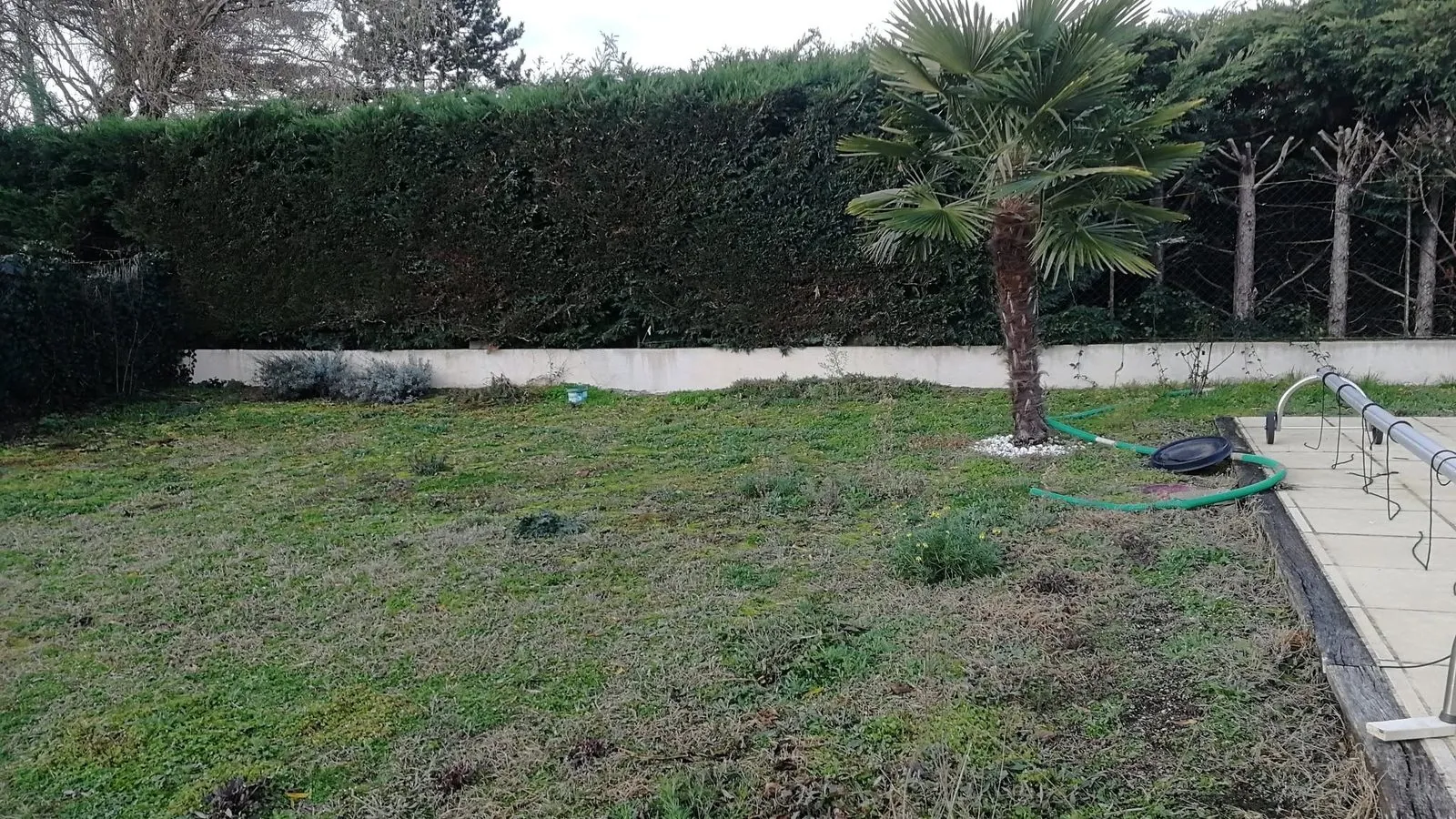 Jardin avant aménagement